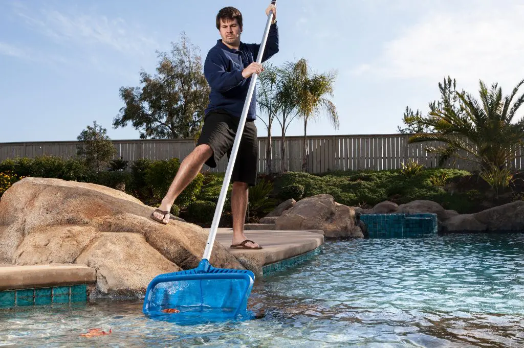 7 Strategies for Efficient Pool Cleaning in Plano TX - RMD