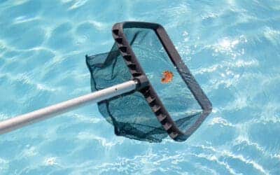 POOL MAINTENANCE 3 Above Ground Pool Maintenance: Weekly Habits That Protect the Liner