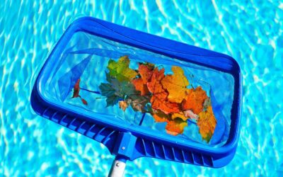 Seasonal Pool Cleaning Service in Allen: Tips for Winter, Spring, Summer, and Fall