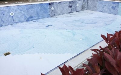 Protect Your Oasis: 7-Step Process of Professional Pool Leak Repair in Allen