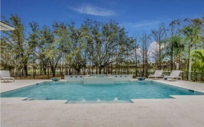 Pro Secrets: 7 Gorgeous and Best Trees for Pool Area Landscaping