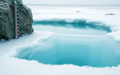 Understanding Salt Water Pools and Cold Water Temperatures